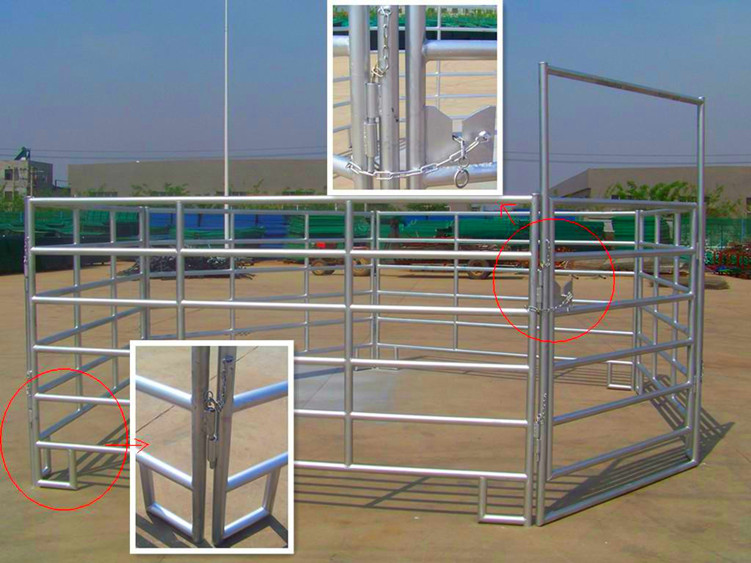 Galvanized Pipe Horse Fence Panel