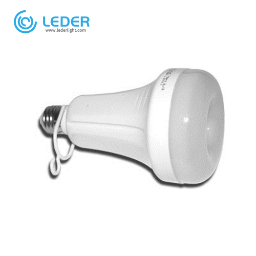 LEDER Modern Interior Light Bulb