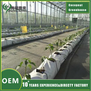 Eco-Friendly Coconut coir greenhouse