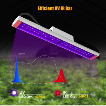 AGLEX có thể tháo rời Bổ sung tia UVA phát triển thanh ánh sáng