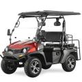 Carrito de golf utv lado a lado