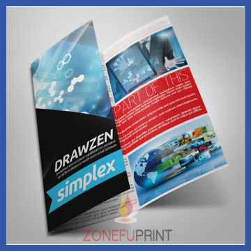 Full Color Brochure Templates Free