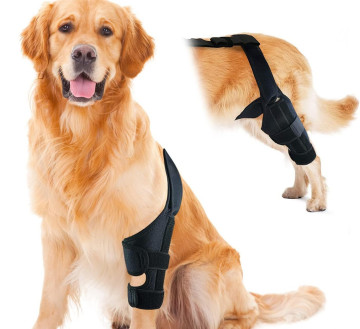 Neoprene Orthopedic Dog Leg Brace for Pet Knee Support