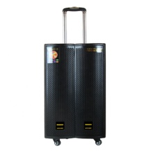 Temeisheng 15 Inch Big Power Professional Karaoke Trolley DJ Subwoofer Speaker