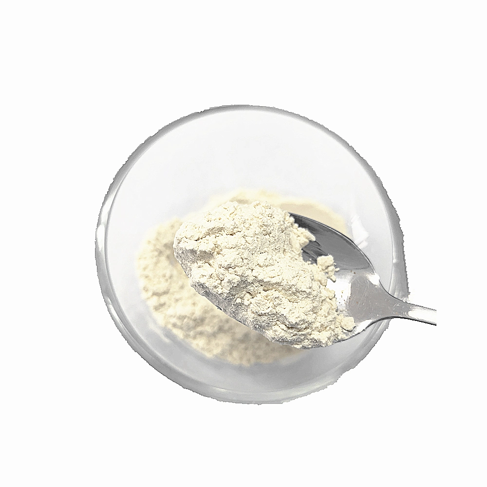 Best Price of Dehydrated Vegetables Garlic Powder with Different Specifications