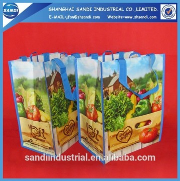 customized printing PP woven fabric plastic shopping bag