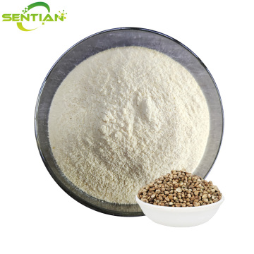 High-Quality Hemp Seed Extract