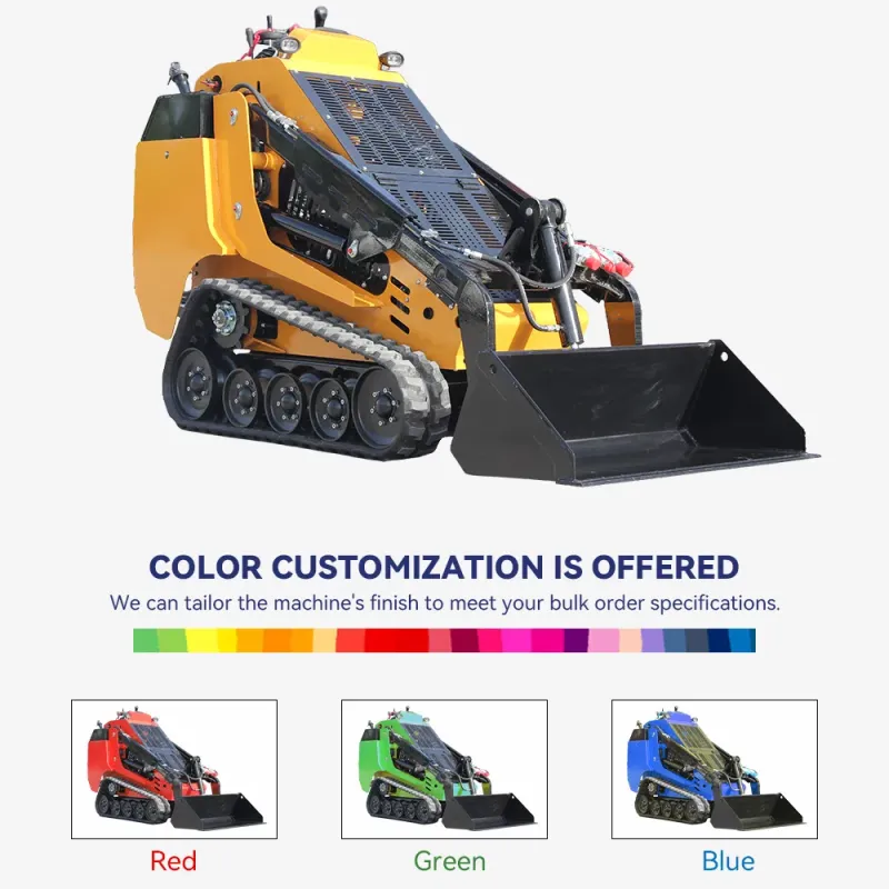 China Famous Brand Mini Loader