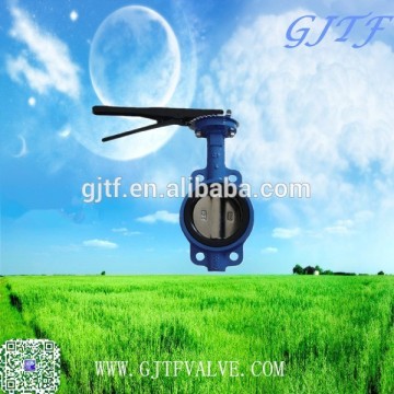 DN40 wcb butterfly valve