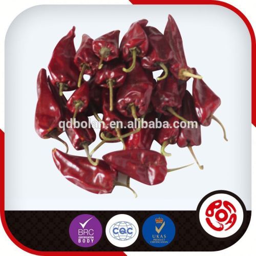 top exporter of byadgi chili