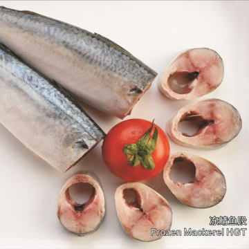 High Quality Frozen Cleaned Hgt Pacific Mackerel