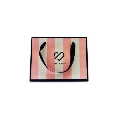 Luxury paper apparel gift bag