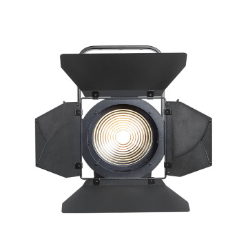 3000K fresnel tungsten effect spot light