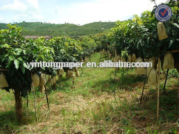 Water Proof Mango growing bag, mango growing paper bag, mango paper bag