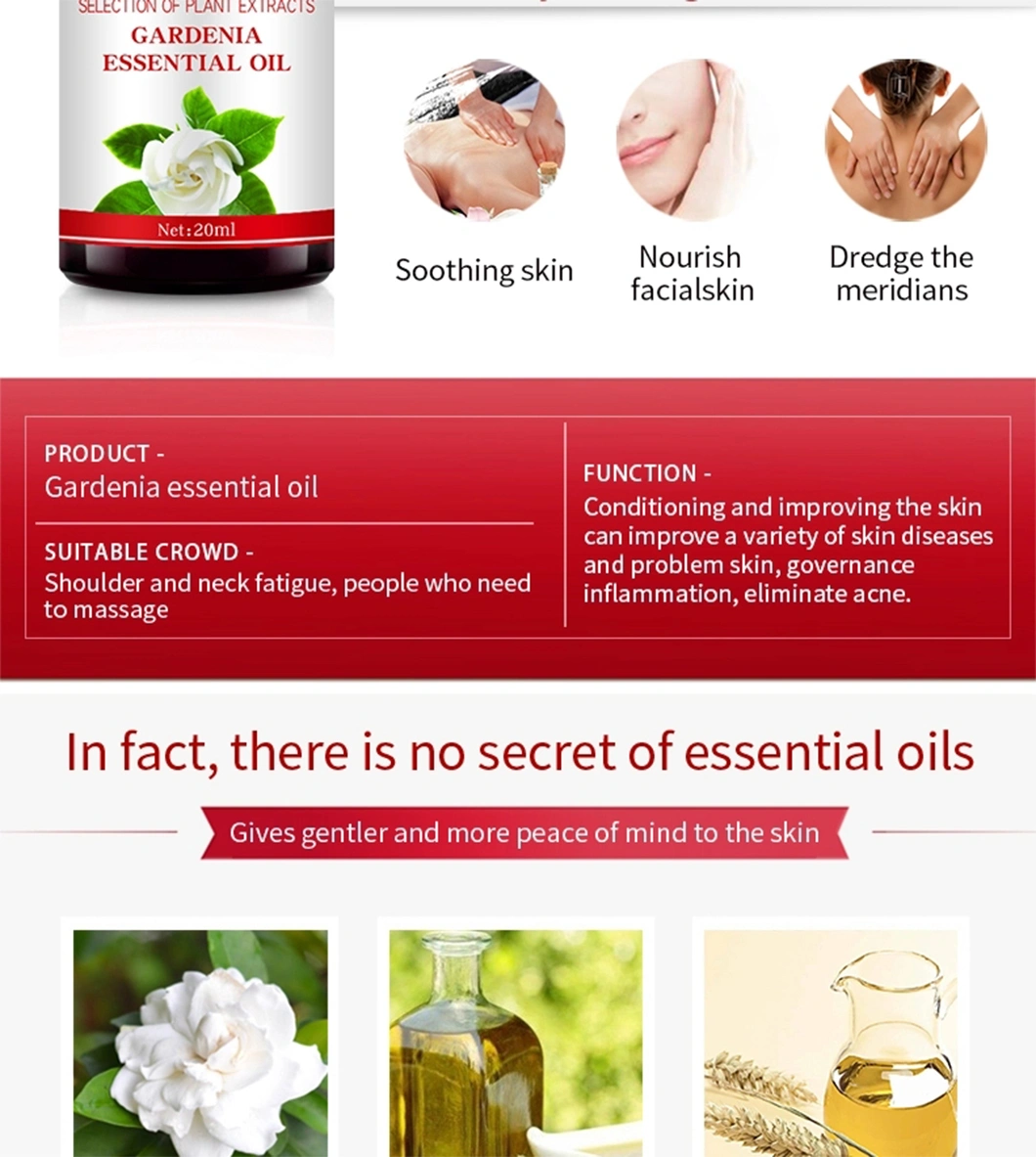 Professional Manufacturing Natural Essential Oil Gardenia Oil