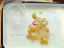 113g Fruit Cocktail Fruit Salad