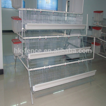 electro-galvanized poultry Egg Layer Chicken Cage