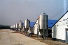 Hopper-bottom Steel Silo