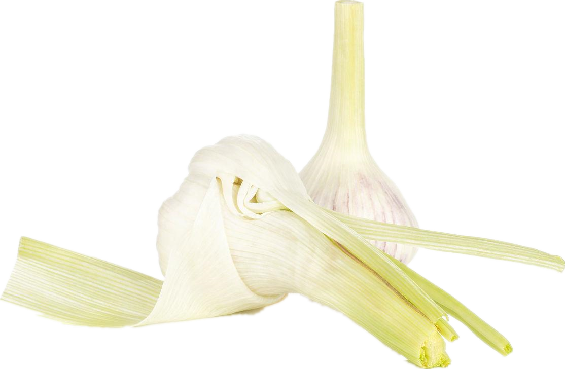 Allicin (1) allicin (1)