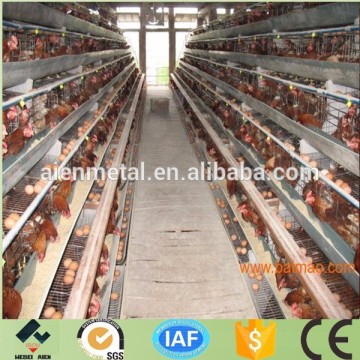 battery chicken cages for sale