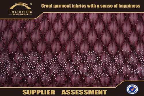 Knitted polyester mesh embroidery lace fabric