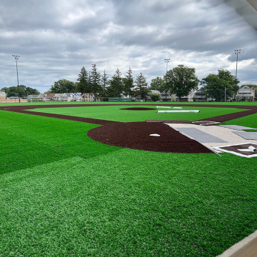 Campe&#39;s Choice Baseball Field Grass artificial