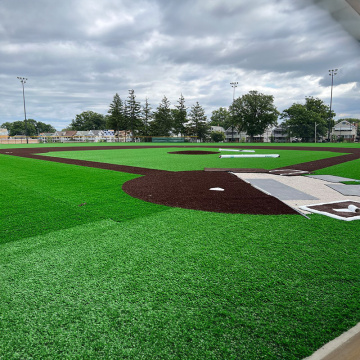 Campeão de Campeão de Baseball Campo Artificial Grass