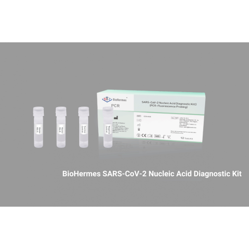 Kit de RT-PCR fluorescente em tempo real para detecção de Sars-CoV-2