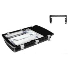 induction tunnel light