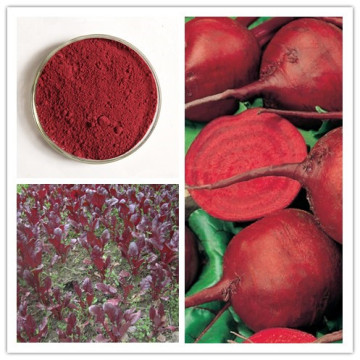 Natural Pigment Red Beet Juice or Powder