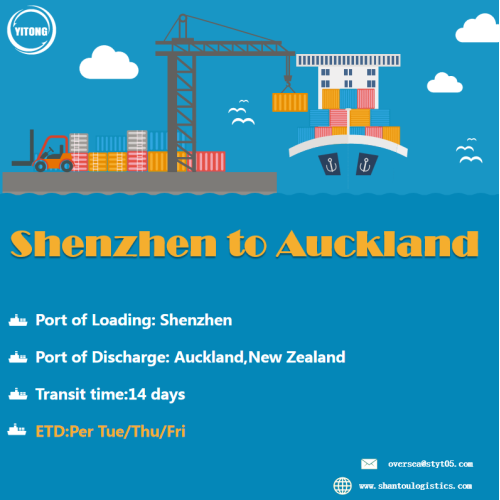 FCL Sea Freight de Shenzhen a Auckland