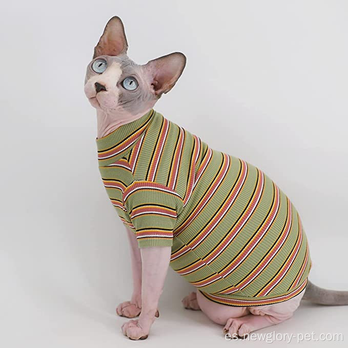 Camisetas de gato sin pelo de rayas vintage