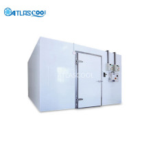 Industrial air chicken blast freezers