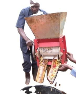 Factory Wholesale Cocoa Nibs Machine: Cocoa Seeds Peeling and Bean Cleaning Equipment for Farms