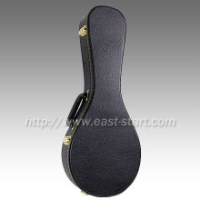 A Type Mandolin Hard Case