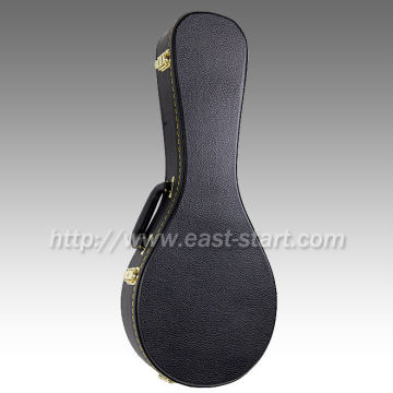 A Type Mandolin Hard Case