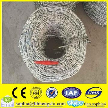 Q195 barbed iron wire/galvanized barbed wire mesh/galvanized barbed wire roll                        
                                                                                Supplier's Choice
