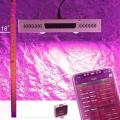 1000W COB LED Grow Light Full Spectrum