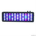 165W Aquarium LED -licht voor mariene vissentank