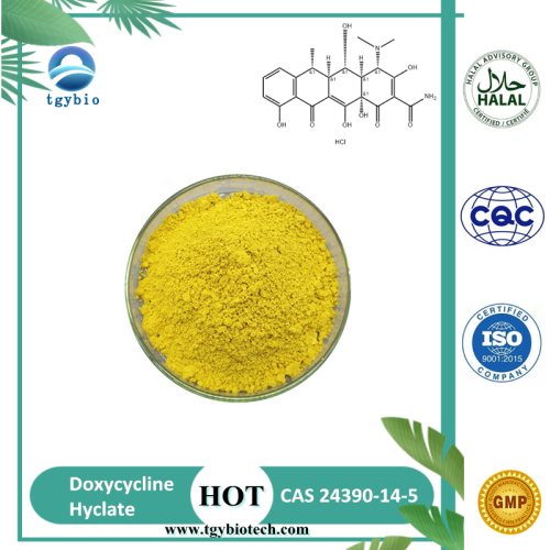 Grade pharmaceucocal doxycycline Hyclate CAS 10592-13-9
