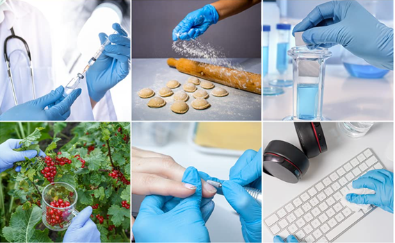 Cheap Nitrile Gloves Disposable Powder Free food grade dental