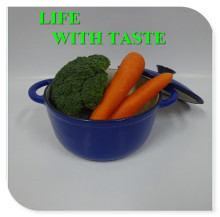 28CM Cast Iron Cookware with enamel coating