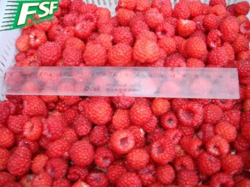 Frozen Raspberry