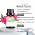 Pure Therapeutic Grade Cistus Essential Oil For Aromatherapy