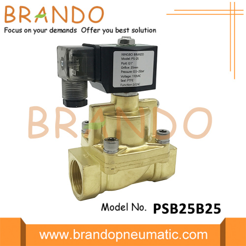 24V 220V Brass Steam Solenoid Valve 3/8 &quot;1/2&quot;