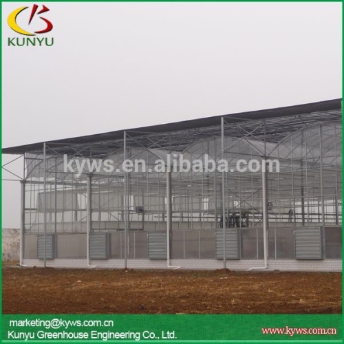 Multi-span polycarbonate greenhouse commercial greenhouse for sale