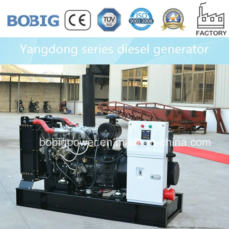 22kVA Diesel Generator Powered by Chinese Yangdong Engine