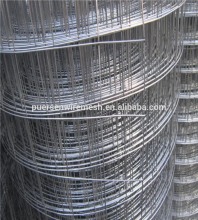 Welded wire mesh/galvanized welded wire mesh and pvc coated welded wire mesh/iron wire mesh