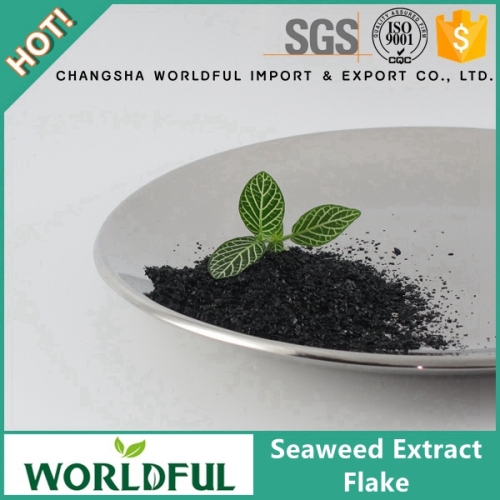 Worldful Rich Organic Matter Seaweed Extract Flake Vegetable Garden Fertilizer