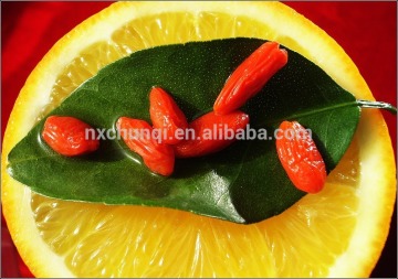 2015 ningxia lycium barbarum polysaccharide/wolfberry